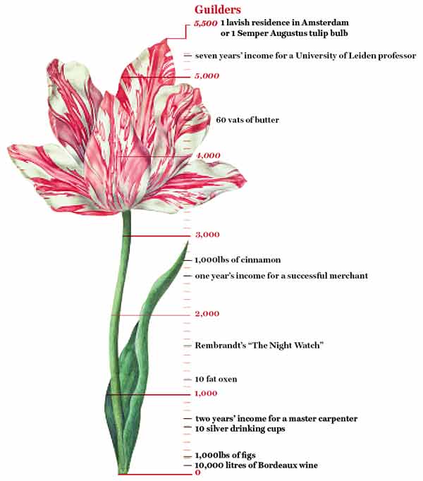 Tulipmania Trend Following Takes Advantage of Zero sum trading